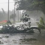 Storm damage in Louisiana